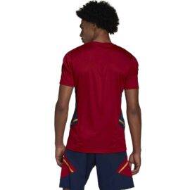 Ajax Condivo Trainingshirt 22-23 H58268